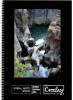 Croxley Nature Note Book Side Bound 100pg